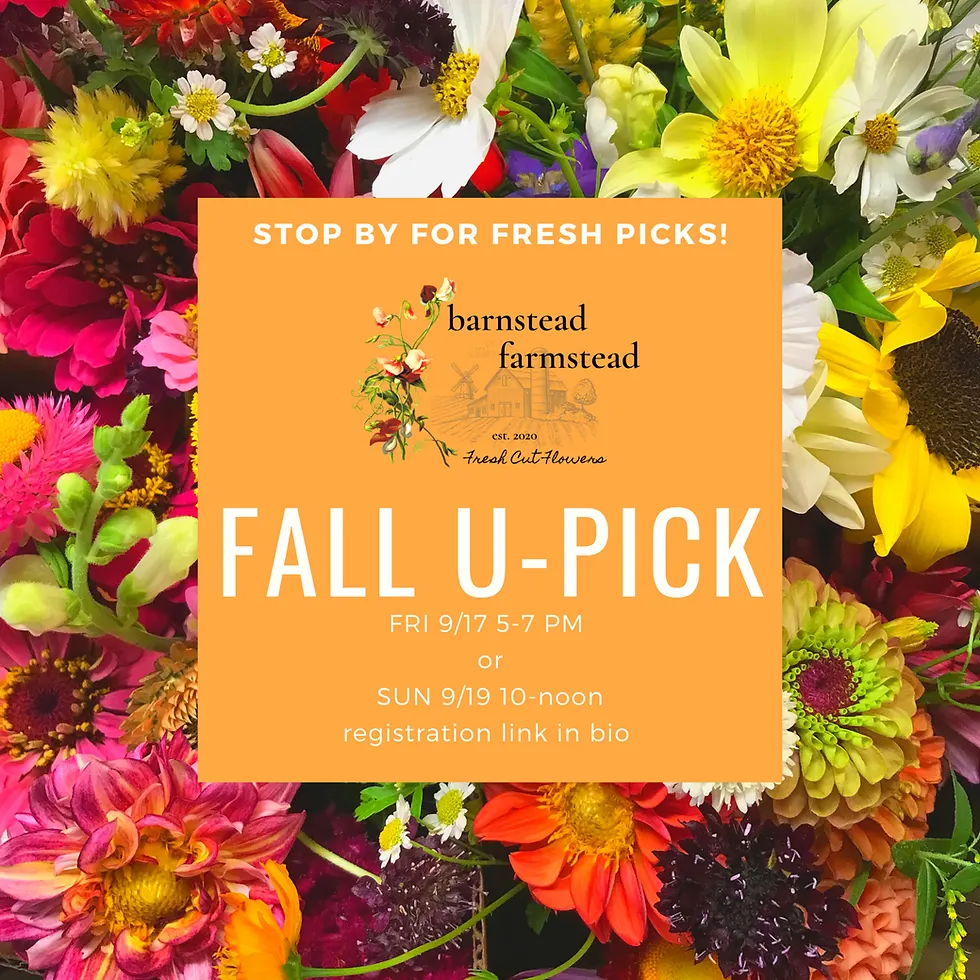 Fall U-Pick