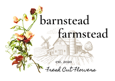 BF logo.png