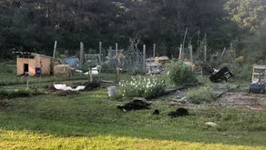 To a more resilient farm.... 