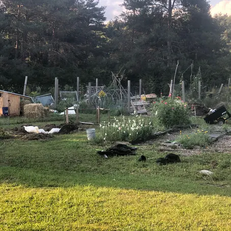 To a more resilient farm.... 