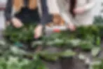Wreath Workshops!